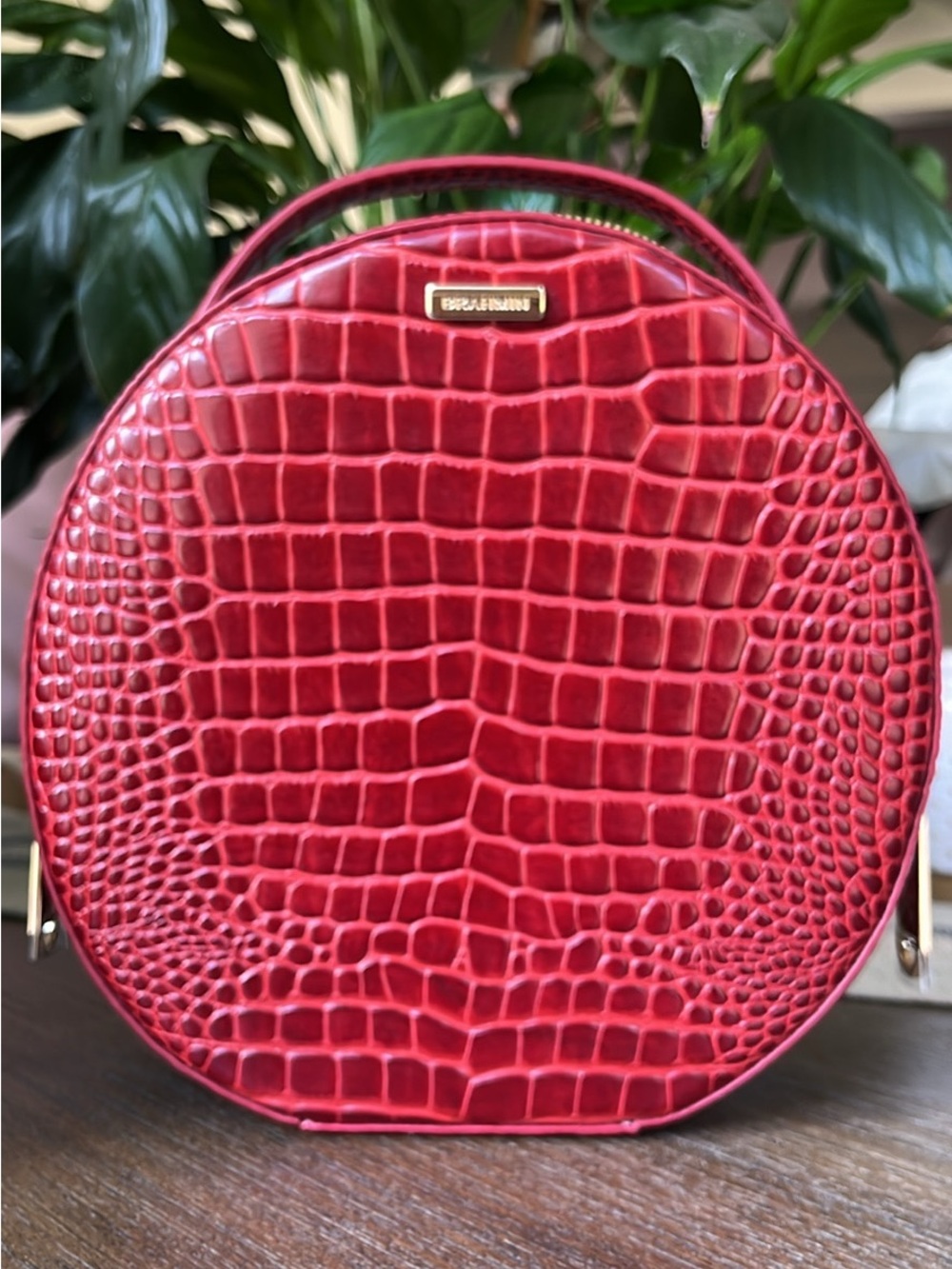 Brahmin Red Canteen Bag
